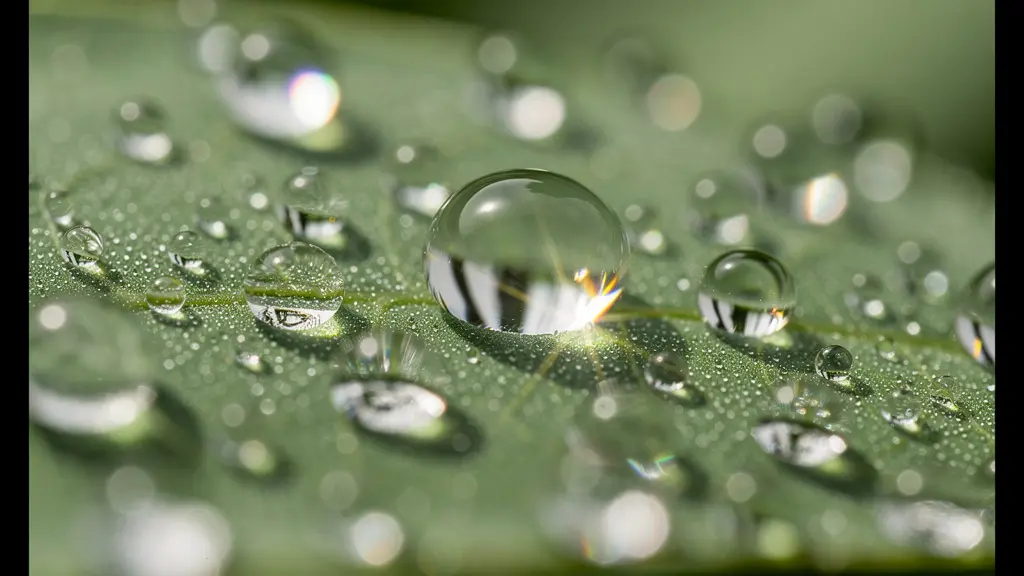 Vue macro détaillée de gouttes de rosée sur une feuille verte avec effet de flou artistique