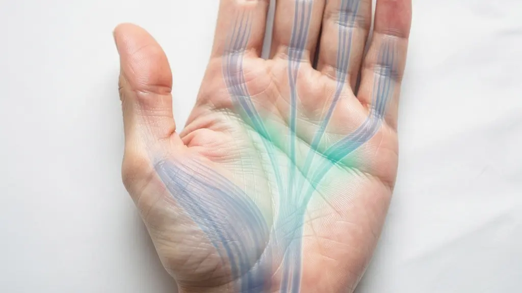 Illustration anatomique de la main montrant les zones d'innervation du nerf médian